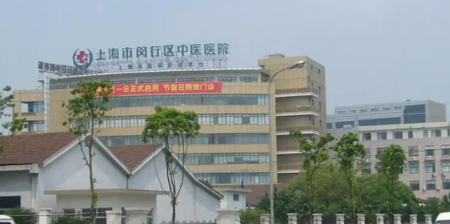 上海市闵行区中医医院