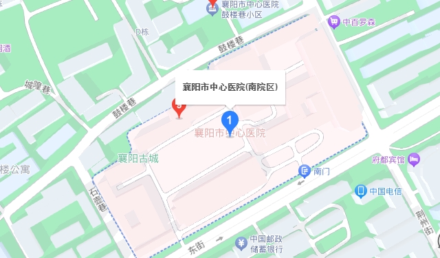 襄阳市中心医院地址